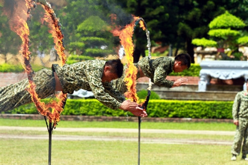 Vượt vòng lửa.