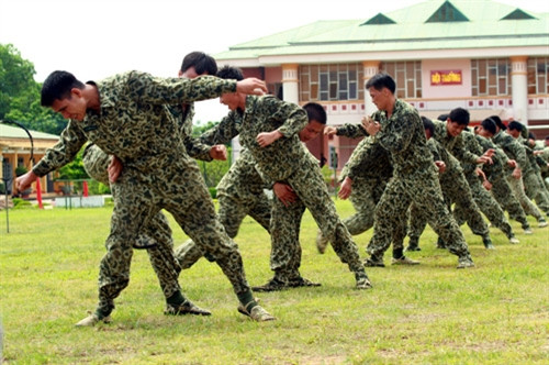 Các tư thế đánh địch tay không, đánh địch có hung khí bằng các thế võ cận chiến, tiêu diệt địch nhanh gọn, đã một lần nữa tạo nên những “nét vẽ” đầy đủ về những chiến đấu viên “tinh nhuệ trong tinh nhuệ” của Bộ đội Đặc công 113.