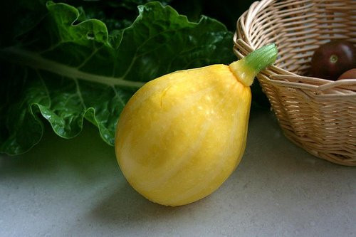 Trên thị trường, một gói hạt giống bí đao chanh gồm 20 hạt có giá 60.000 đồng.