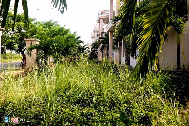 Mặt tiền của biệt thự nhìn ra sông Hàn thơ mộng giờ là khu lau lách rậm rạp. Ông Nguyễn Điểu - Giám đốc Sở Tài nguyên Môi trường Đà Nẵng cho biết, cụm thể thao Tuyên Sơn là một trong những khu vực đang được các cơ quan chức năng rà soát để có biện pháp xử lý tình trạng bỏ hoang, gây ô nhiễm.