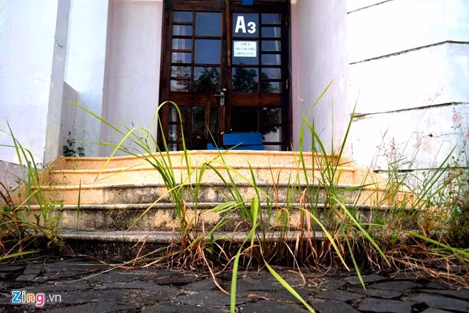 Cỏ mọc lên cả các bậc thang ngay cửa các biệt thự. "Nhiều năm qua, khu biệt thự này không những gây ô nhiễm môi trường mà còn là nơi tụ tập của gái mại dâm, người nghiện gây mất an ninh trật tự. Chính quyền cần có biện pháp xử lý để trả lại cảnh quan cho TP", ông Nguyễn Văn Hùng, một người dân sống gần khu vực này bức xúc nói.