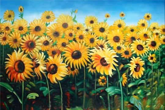 Những phòng khách thiếu ánh sáng, lúc nào trông cũng tối tăm, nếu ở lâu trong đó sẽ dễ khiến cho tinh thần sa sút, vì vậy phải tìm cách sửa ngay. Có thể treo tranh hoa hướng dương trong phòng khách để bù đắp khiếm khuyết này. Tranh chữ treo bên trên sofa nên treo ngang chứ không nên treo dọc. Vì ngang là trời, ngụ ý đội trời đạp đất.