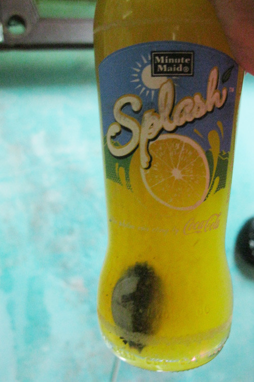 Thang kien nguoi tieu dung, Cocacoca Viet Nam van mat nui tien