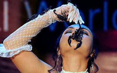 Trong một hộp đêm tại thành phố du lịch nổi tiếng của Thái Lan - Pattaya, cô Kanchana Kaetkaew, 39 tuổi, đã để chồng là anh Boonthawee Siangwong đặt con bọ cạp rất độc vào trong miệng của mình. Kỷ lục thế giới kinh dị của “Nữ hoàng bọ cạp” là ngậm con vật này trong 2 phút, 3 giây.