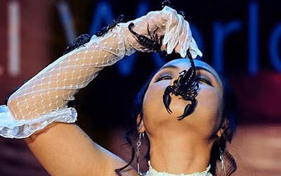 Trong một hộp đêm tại thành phố du lịch nổi tiếng của Thái Lan - Pattaya, cô Kanchana Kaetkaew, 39 tuổi, đã để chồng là anh Boonthawee Siangwong đặt con bọ cạp rất độc vào trong miệng của mình. Kỷ lục thế giới kinh dị của “Nữ hoàng bọ cạp” là ngậm con vật này trong 2 phút, 3 giây.