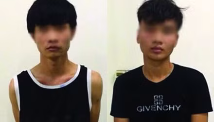 Khoi to nghi can dot nhap biet thu My Linh an trom