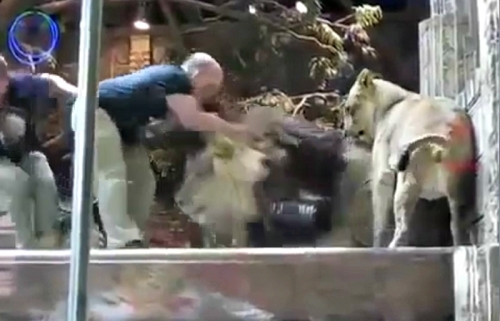 Su tu cai ngan su tu duc tan cong nguoi cham soc