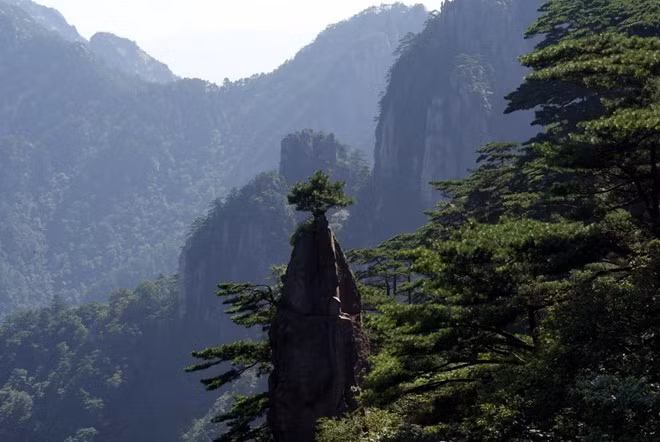 Mộng Bút Sinh Hoa là một cột đá cao ngất, dựng đứng từ thung lũng sâu, thon như cán bút. Phần trên hình chóp, giống như ngòi bút lông. Một cây tùng cổ sinh trưởng trên cột đá, như một bông hoa nở trên ngòi bút lông. Vì vậy mọi người gọi cột đá này là “Mộng Bút Sinh Hoa” và coi là một trong những nét đẹp của Hoàng Sơn. Ảnh: Sohu.