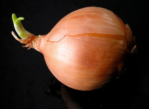 Hành tây: Thường xuyên sử dụng hành tây sẽ thay đổi dần dần màu mắt và cũng có thể làm sáng trong da. Những hợp chất giàu lưu huỳnh, vitamin C tốt cho làn da và mái tóc của bạn.