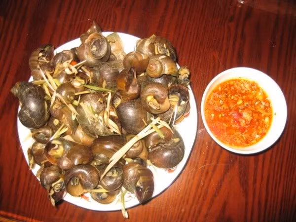 5. Quán ốc Ông Già - Tô Ngọc Vân. Trên con phố nhỏ Tô Ngọc Vân, rất nhiều quán ốc ' Ông Già' mọc lên khiến những thực khách lần đầu đến phải lúng túng.