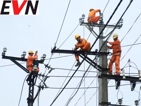 De nghi phong Anh hung cho EVN: Chuyen gia kinh te cung choang