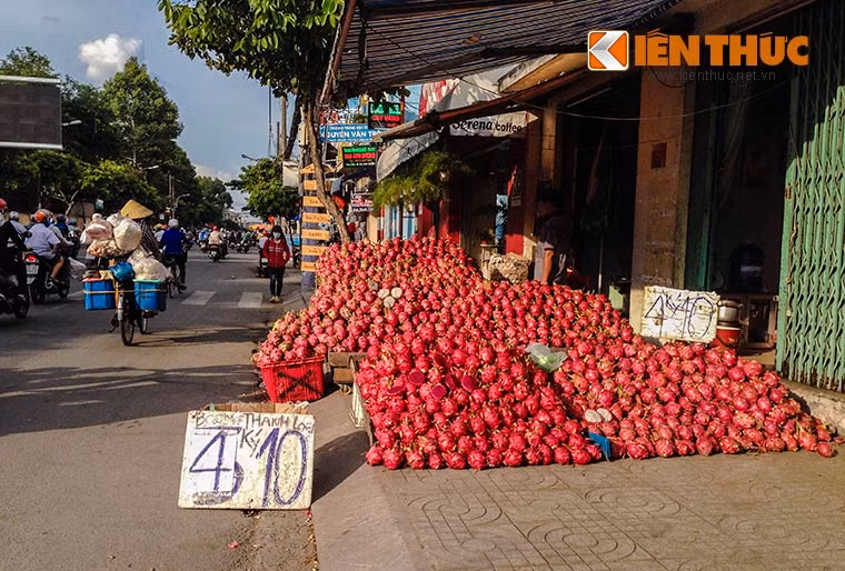 Nhiều ngày nay, trên các tuyến đường lớn của TP HCM, Bình Dương và Đồng Nai, tình trạng thanh long Bình Thuận giá rẻ đang được đổ thành đống lớn để bán cho người qua lại.
