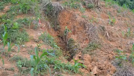 Buc con nhong nheo, cha chem chet con de