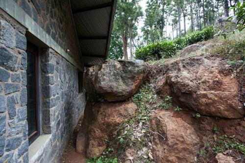 Trong khi các bức tường đá bên ngoài pha trộn với các mặt đá liền kề tạo ra sự kết nối hài hòa bên ngoài thì các bức tường được xây dựng bằng bùn của nội thất mang đến sự ấm áp bên trong cho ngôi nhà. Trái ngược với các phần bên dưới của cấu trúc, thiết kế của mái nhà dốc khiến ngôi nhà được hình dung như đang bay vào núi và nằm lơ lửng trên các ngọn cây. Các bức tường đá bên ngoài pha trộn với các mặt đá liền kề.