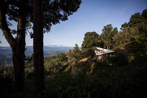 Ngược lại với các phần dưới của cấu trúc, kết cấu của mái nhà dốc khiến ngôi nhà trông giống như đang bay vào núi và nằm lơ lửng trên các ngọn cây.