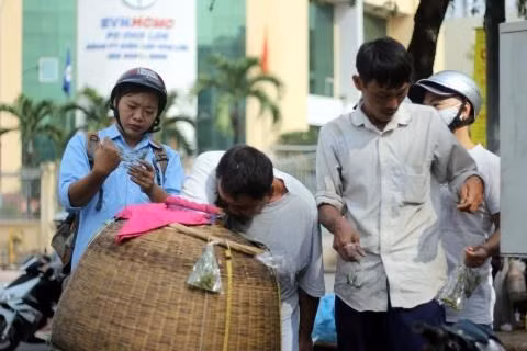 Cái tên “chợ đàn ông” hay “chợ côn trùng” cũng được gắn liền với vài ba gánh hàng ven đường này – một cách thân quen, bình dị theo cách gọi của người dân nơi đây từ đó… Chợ mở từ sáng sớm, cứ tầm 6,7 giờ những chiếc xe mang theo côn trùng sâu bọ lại đậu ngay trên vỉa hè đường Thuận Kiều. Họ mang theo côn trùng từ tận Hóc Môn đến đây và gánh hàng của họ cũng chỉ chừng có vài ba cái thúng, vài ba thùng xốp. Tất cả được chất gọn vào chiếc xe trông quá khổ.