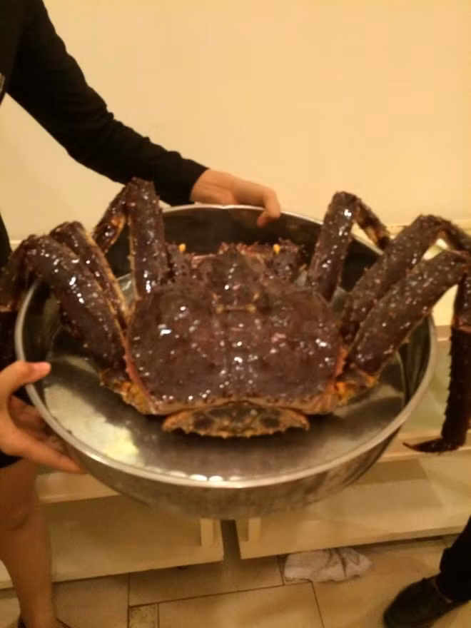 Nha hang Ha Noi tang bao ngu Nam Phi cho khach dai gia