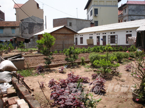 Chuyen la giua Ha Noi: Tranh cuop dat voi… nguoi chet-Hinh-4