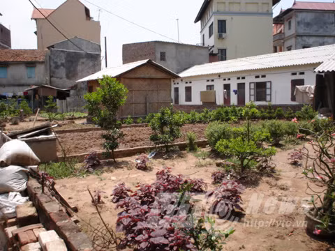 Chuyen la giua Ha Noi: Tranh cuop dat voi… nguoi chet-Hinh-4