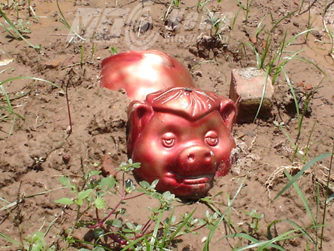 Chuyen la giua Ha Noi: Tranh cuop dat voi… nguoi chet-Hinh-3