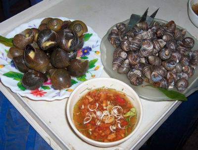 Ốc đồng: Ốc nấu đậu phụ, chuối xanh và ốc xào khế là hai món ăn độc đáo của vùng đồng bằng Bắc bộ. Nhưng nếu bạn muốn ăn món ốc đích thực, xin mời về vùng quê Hà Nam. Những người nông dân thật thà chất phác lại là những người đầu bếp giỏi nhất cho món ốc đồng này. Thêm vào đó là cảnh tình làng nghĩa xóm thấm đượm trong từng hương vị quê nhà.