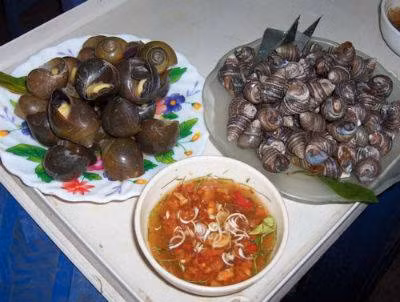 Ốc đồng: Ốc nấu đậu phụ, chuối xanh và ốc xào khế là hai món ăn độc đáo của vùng đồng bằng Bắc bộ. Nhưng nếu bạn muốn ăn món ốc đích thực, xin mời về vùng quê Hà Nam. Những người nông dân thật thà chất phác lại là những người đầu bếp giỏi nhất cho món ốc đồng này. Thêm vào đó là cảnh tình làng nghĩa xóm thấm đượm trong từng hương vị quê nhà.