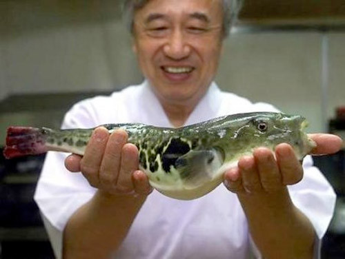  Vì vậy, những người không có kinh nghiệm, tốt nhất nên tránh xa loại cá này”, PGS Trần Đáng cho hay.