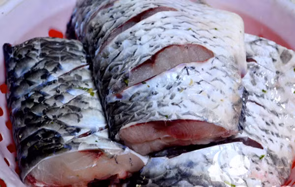 Không chỉ cá trắm, các loại cá khác như cá chép, trôi, anh vũ đều có thể gây suy thận cấp, nhưng nặng nhất vẫn là mật cá trắm. Hơn nữa, việc chữa bệnh theo kiểu truyền miệng chỉ xảy ra với mật cá trắm nên các ca cấp cứu vì loại cá này là nhiều nhất với nhiều biến chứng nguy hiểm gồm sốc nhiễm khuẩn, chảy máu cấp, phù não, phù phổi, viêm ống thận.