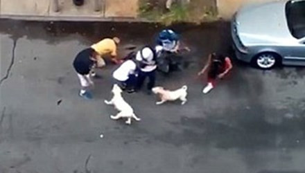 Do mâu thuẫn cá nhân, bà Cynthia Oliver (55 tuổi) ở Mỹ đã thả dây xích và "ra lệnh" cho 2 chú chó Pitbull của mình tấn công ông Francesco Bove (62 tuổi) ngay trên đường phố, bên ngoài tòa nhà mà người phụ nữ này sinh sống ở Bronx. Ảnh: Người dân giải cứu hai người đàn ông khỏi những con chó dữ.