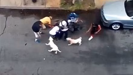 Do mâu thuẫn cá nhân, bà Cynthia Oliver (55 tuổi) ở Mỹ đã thả dây xích và "ra lệnh" cho 2 chú chó Pitbull của mình tấn công ông Francesco Bove (62 tuổi) ngay trên đường phố, bên ngoài tòa nhà mà người phụ nữ này sinh sống ở Bronx. Ảnh: Người dân giải cứu hai người đàn ông khỏi những con chó dữ.