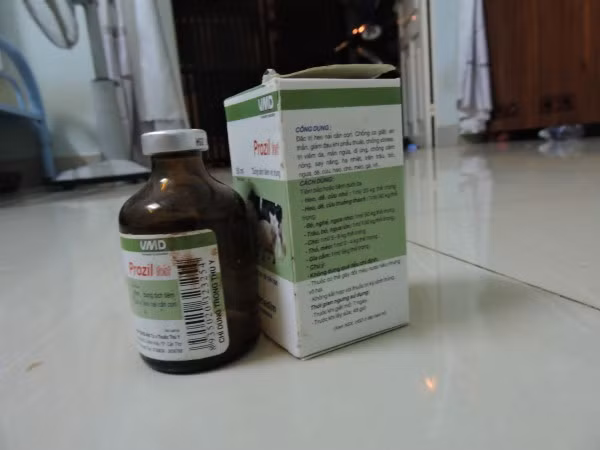 Ron nguoi ben trong lo mo heo tang trong giua TP HCM