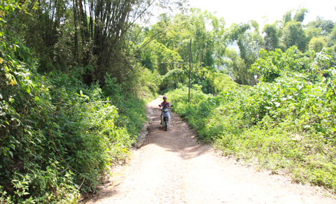 Trom xuong co gai bi set danh, dai gia Tay Bac chet tham-Hinh-2