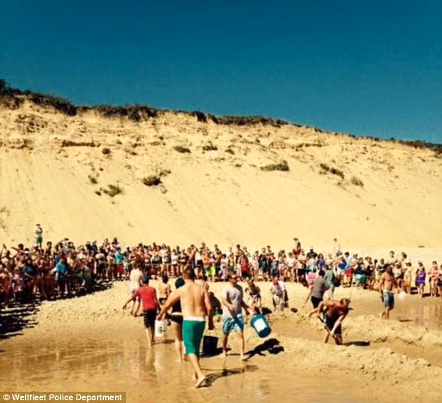 Người dân tất tả lấy xô đi múc nước biển đổ vào chỗ con cá nằm.