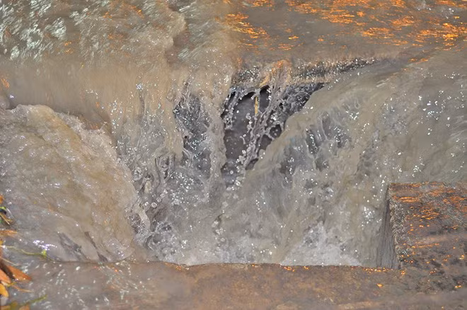 Nước dồn dập đổ về một hầm ga không nắp đậy bên đường Bùi Trọng Nghĩa (phường Trảng Dài).