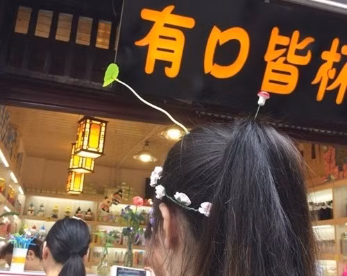 Trồng cây trên đầu: Những hình ảnh cây mọc trên đỉnh đầu ngộ nghĩnh, dễ thương gần đây đang gây bão với giới trẻ Trung Quốc.