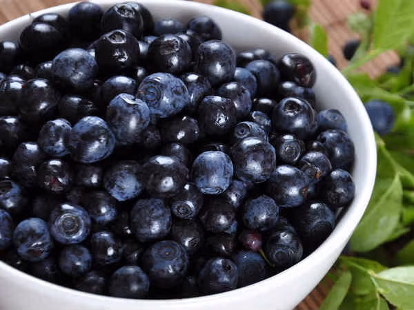 Quả việt quất: Việt quất được đánh giá cao về dinh dưỡng tốt cho sức khỏe. Chúng có tác dụng giúp cơ thể ngăn chặn ung thư cũng như các vấn đề tiết niệu kể từ khi có vi khuẩn bám vào vách bàng quang.