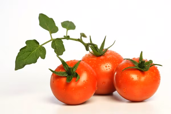 Không nên cho trẻ ăn những thực phẩm có nhiều hạt, đặc biệt là những hạt có kèm theo chất camen dễ gây táo bón, trẻ lại nhiều giun thì dễ biến chứng thành thắt ruột do giun, không lợi cho sức khoẻ.