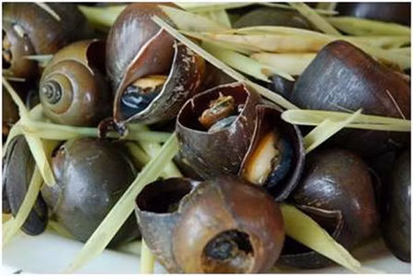 Tuy nhiên, quán ốc Ông già chính hiệu thì chỉ có một, dù người chủ hiện tại cũng không phải là 'Ông già' khai sinh ra cái quán ốc 'huyền thoại' ấy, nhưng rất may mắn bởi hương vị của món ốc hấp thuốc bắc nơi đây vẫn vẹn nguyên như thủa sơ khai.