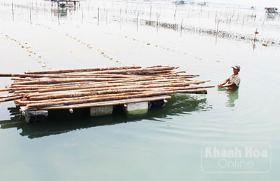 Kham pha nghe doc vua lan vua lam moc tren bien-Hinh-2