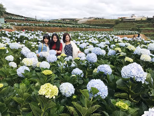 Thời gian gần đây, cùng sự phát triển của mạng xã hội và internet mà ngày càng nhiều người biết đến địa điểm du lịch độc đáo này. Lượng người đổ về đây chiêm nghiệm càng nhiều.