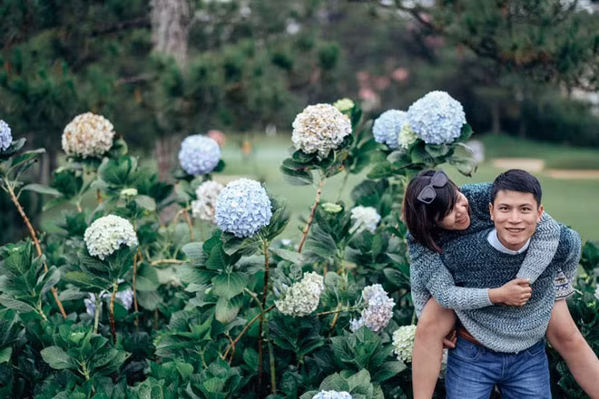 Cách trung tâm thành phố Đà Lạt khoảng 10km về hướng Đông, vườn hoa cẩm tú cầu hiện đang là điểm du lịch hấp dẫn nhất Đà Lạt, là nơi không thể thiếu để tạo nên những bức hình đẹp thần thánh.