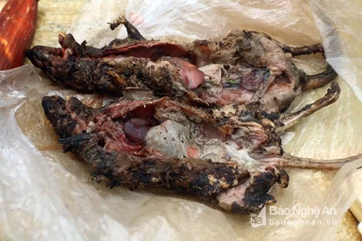 Chuột rừng thui - món ăn không thể thiếu của đồng bào vùng cao giá chừng 30.000 đồng/con.