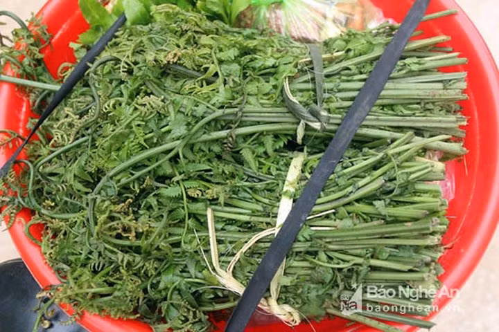 Ngoài ra các loại rau được hái từ rừng núi, khe suối về cũng được ưa chuộng bởi đây là loại rau sạch từ tự nhiên.