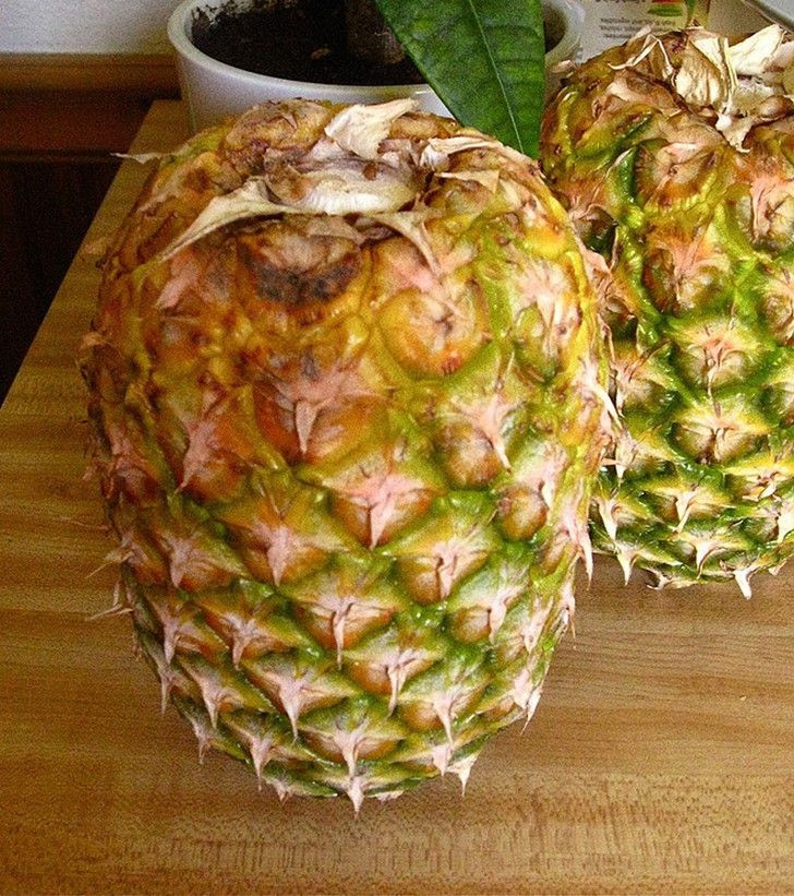 Úp ngược quả dứa xuống sẽ giúp chúng chín nhanh và ngọt hơn.