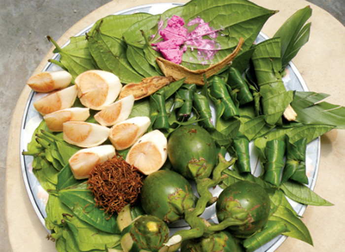 Cau. Thói quen ăn trầu khá phổ biến song ít người biết rằng loại quả này có chứa arecoline. Khi ăn, arecoline chuyển thành nitroso – chất gây ung thư phổ biến. Tích tụ những chất này lâu ngày, cơ thể dễ đối diện với căn bệnh nguy hiểm.