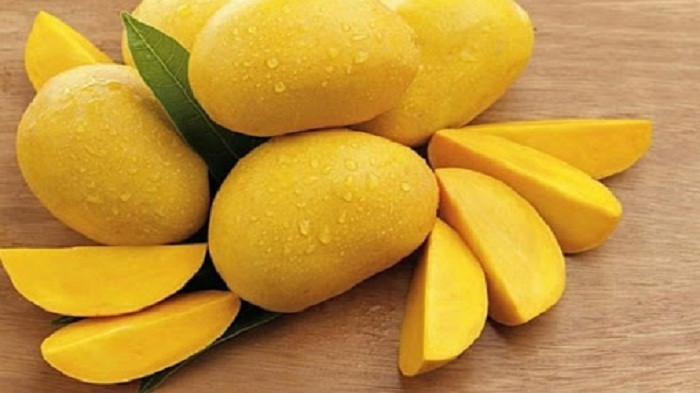 Đáng nói, không ít tiểu thương rút ngắn thời gian ủ chín xoài bằng việc sử dụng ethephon và vôi bột. Theo Chủ nhiệm bộ môn rau quả Viện nông nghiệp nhiệt đới Trung Quốc, hình thức thúc chín trái cây bằng ethephon và vôi bột vô cùng có hại cho sức khỏe người tiêu dùng.