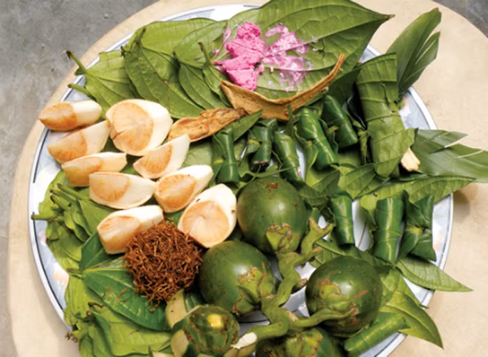 Cau. Thói quen ăn trầu khá phổ biến song ít người biết rằng loại quả này có chứa arecoline. Khi ăn, arecoline chuyển thành nitroso – chất gây ung thư phổ biến. Tích tụ những chất này lâu ngày, cơ thể dễ đối diện với căn bệnh nguy hiểm.