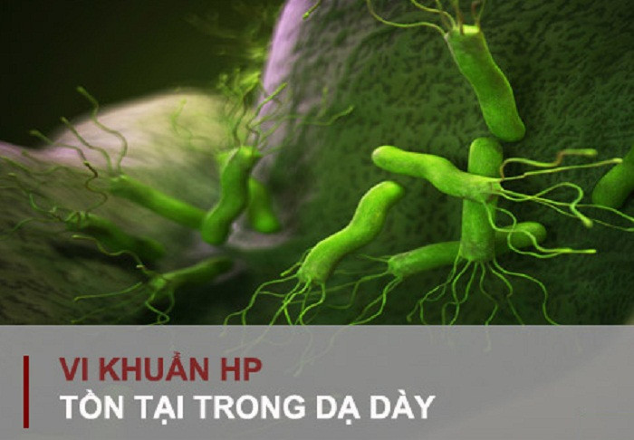 Viêm teo niêm mạc dạ dày thường do vi khuẩn H. pylori gây ra. Vi khuẩn này có khả năng phá vỡ lớp màng nhầy bảo vệ niêm mạc dạ dày khỏi tác động từ dịch vị – dịch tiêu hóa có tính axit do một số tế bào dạ dày tiết ra để tiêu hóa thức ăn. Viêm nhiễm dần dần phá hủy các tế bào niêm mạc dạ dày nếu không được điều trị triệt để.