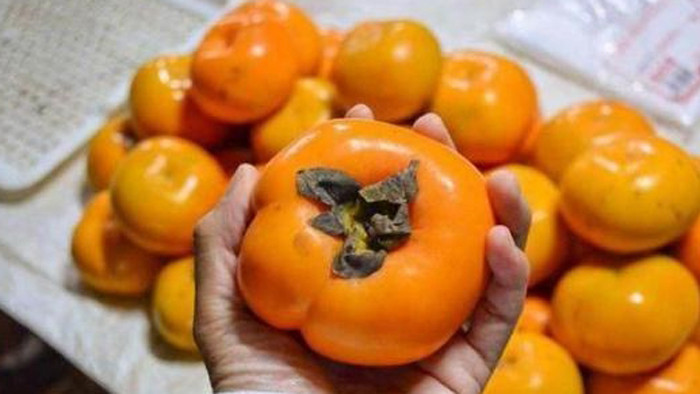 Mặt khác, các loại quả như hồng còn chứa axit tannic, protease và axit oxalic. Ăn lượng lớn mỗi ngày còn làm tăng nguy cơ kết sỏi dạ dày.