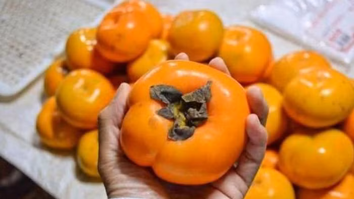 Mặt khác, các loại quả như hồng còn chứa axit tannic, protease và axit oxalic. Ăn lượng lớn mỗi ngày còn làm tăng nguy cơ kết sỏi dạ dày.